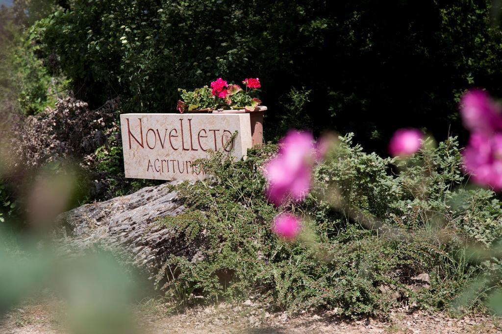 Novelleto Villa Monteriggioni Exteriör bild