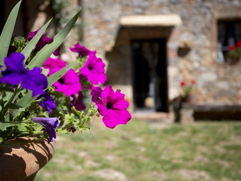 Novelleto Villa Monteriggioni Exteriör bild