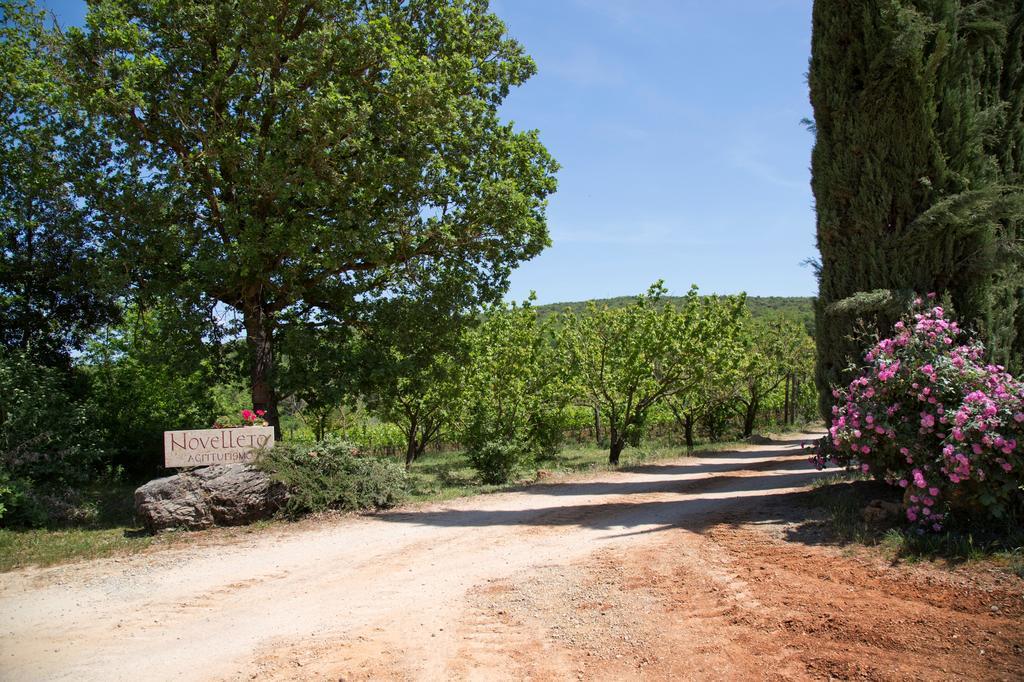 Novelleto Villa Monteriggioni Exteriör bild